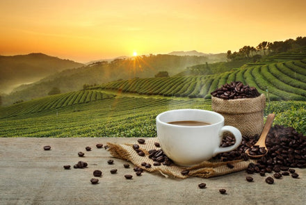 5 Reasons to Switch to Organic Coffee