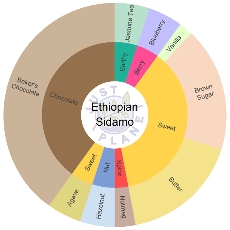 Ethiopian
